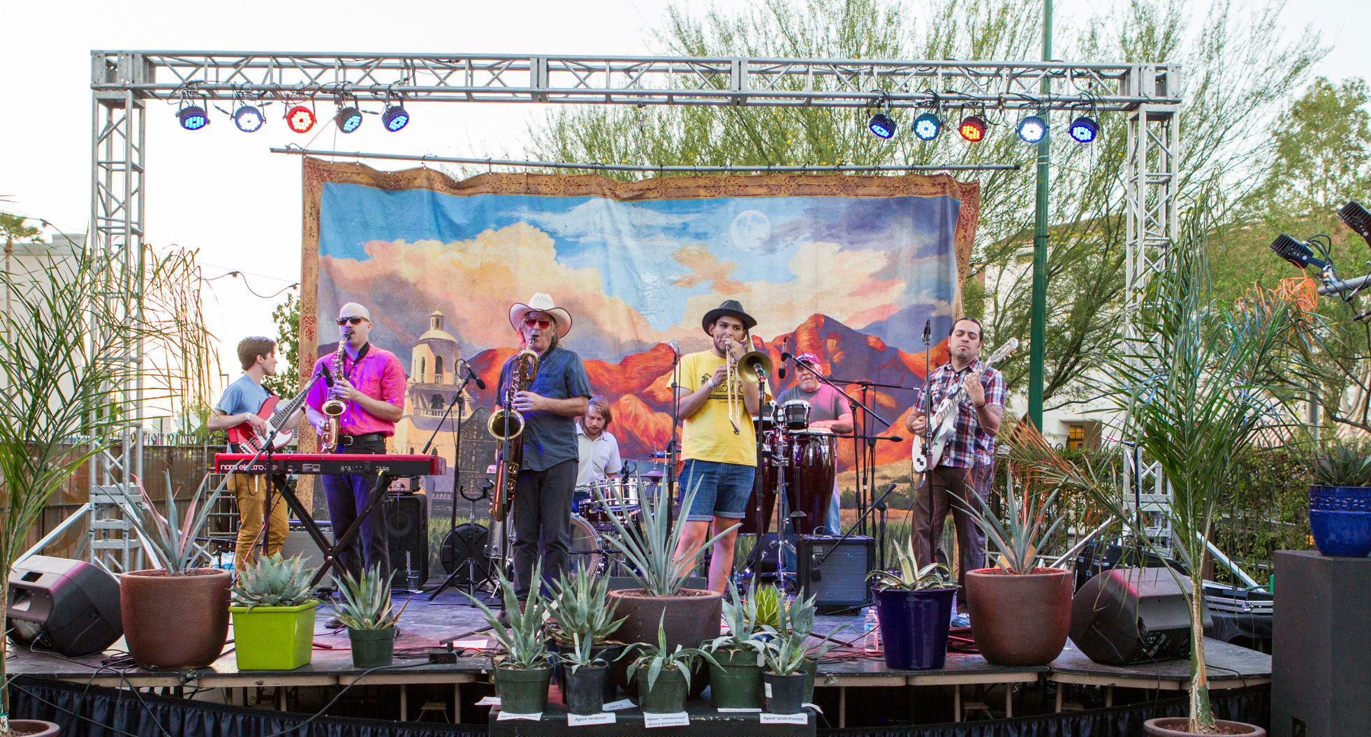 Agave Festival